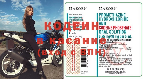 ГАЛЛЮЦИНОГЕННЫЕ ГРИБЫ Богданович