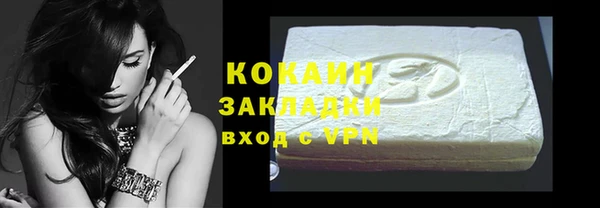 ГАЛЛЮЦИНОГЕННЫЕ ГРИБЫ Богданович