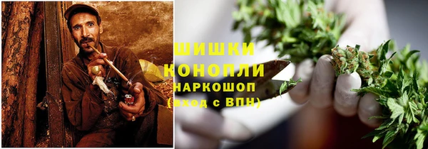 ГАЛЛЮЦИНОГЕННЫЕ ГРИБЫ Богданович