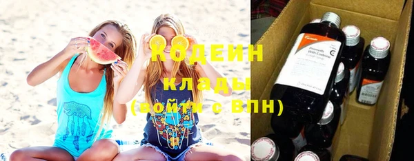 ГАЛЛЮЦИНОГЕННЫЕ ГРИБЫ Богданович