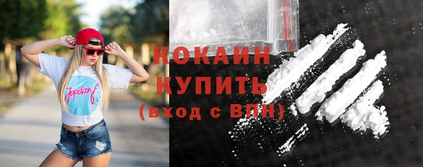 ГАЛЛЮЦИНОГЕННЫЕ ГРИБЫ Богданович